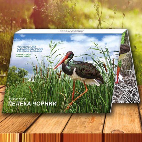 Пам'ятна монета НБУ "Чорнобиль. Відродження. Лелека чорний", 5 гривень, у сувенірній упаковці, 2024 NSP-LELEKA2024 фото