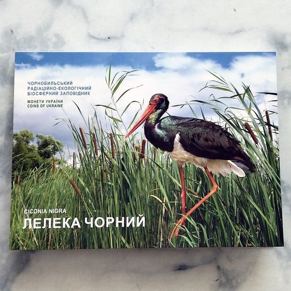 Памятная монета НБУ "Чернобыль. Возрождение. Аист черный", 5 гривен, в сувенирной упаковке, 2024 NSP-LELEKA2024 фото