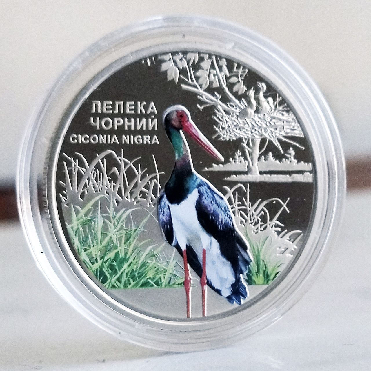 Купить Памятная монета НБУ 