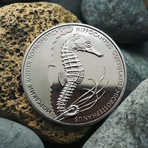 Пам'ятна монета НБУ "Морський коник", 2 гривні, 2003 N-SEAKONYK-2003 фото