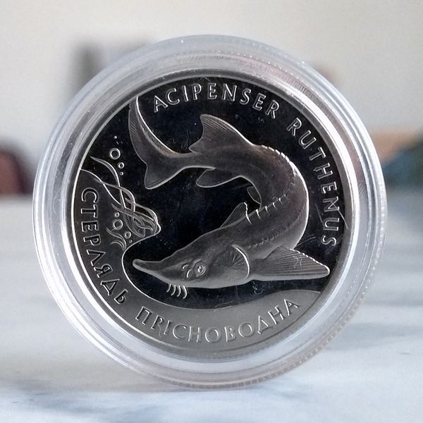 Пам'ятна монета НБУ "Стерлядь прісноводна", 2 гривні, 2012 N-STERLIAD-2012 фото