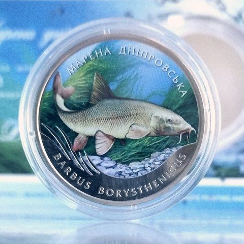 Пам'ятна монета НБУ "Марена дніпровська", 2 гривні, у сувенірній упаковці, 2018 N-MARENA-2018 фото