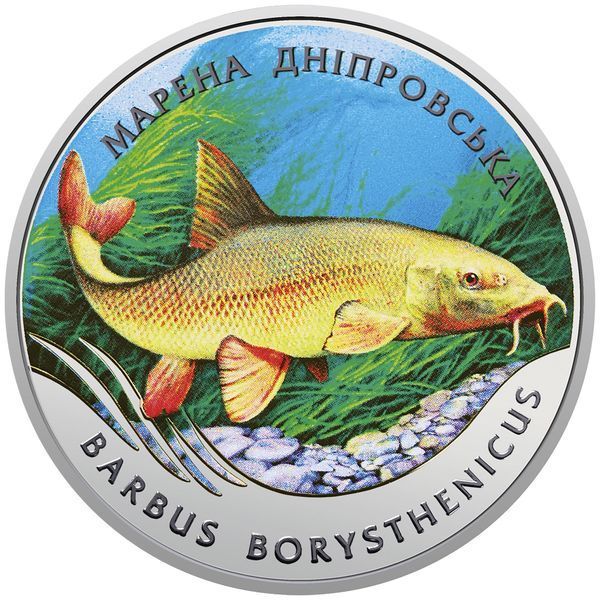 Памятная монета НБУ "Марена днепровская", 2 гривны, в сувенирной упаковке, 2018 N-MARENA-2018 фото