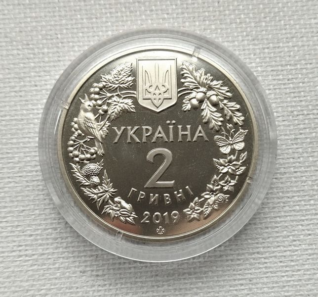 Пам'ятна монета "Орлан-білохвіст", 2019 рік, 2 гривні ORLAN фото
