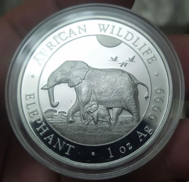 Серебряная монета Слон, Сомали, 2022, серия Африканская дикая природа, 1 унция 9999 пробы SLON22 фото