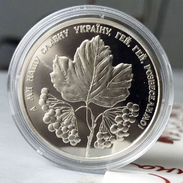 Монета НБУ "Ой у лузі червона калина" 5 гривень, 2022 у блістері N-KALYNA фото