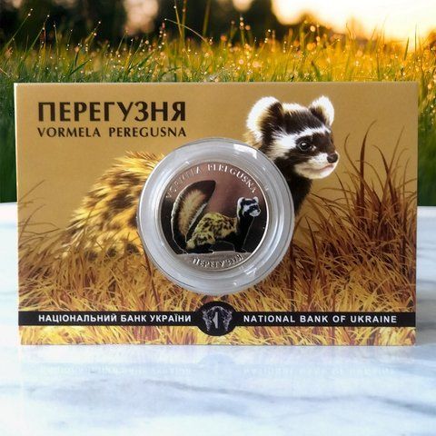 Пам'ятна монета НБУ "Перегузня" 2 гривні, у сувенірній упаковці, 2017 N-PEREGUZ фото