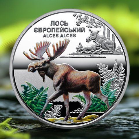 Монета НБУ "Чорнобиль. Відродження. Лось європейський" 5 гривень, 2025 VIDRODG-LOS-2025 фото