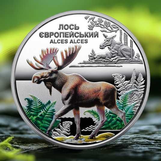 Купить Монета НБУ 