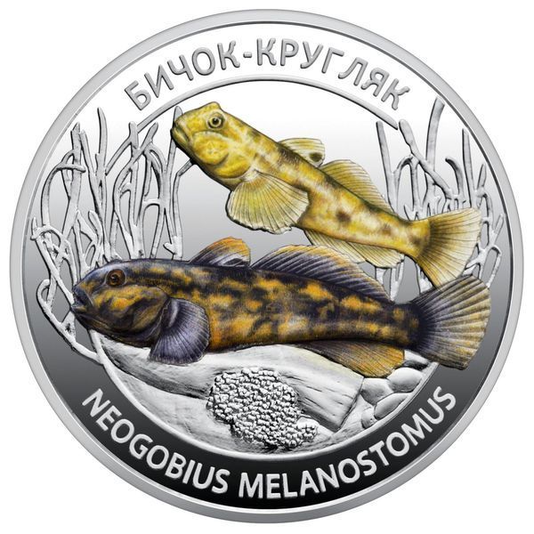 Набір із двох пам`ятних монет "Мешканці морських глибин" у сувенірному пакованні,&nbsp;5+5 гривень, 2025 NSP-MORE-2025 фото