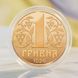 Серебряная монета НБУ "К 30-летию денежной реформы в Украине", 1 гривна, в футляре, 2026 S-35R-NEZ-UKR-2026 фото 1