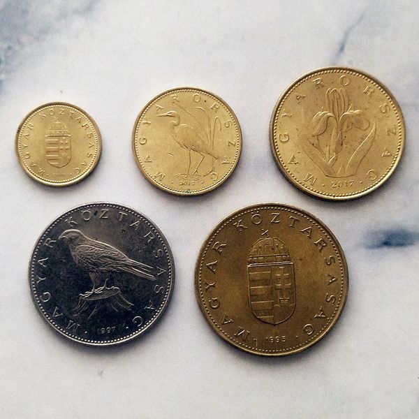 Набор из 5-ти оборотных монет 1, 5, 20, 50, 100 форинтов, Венгрия, 1995-2017 N-FORINT фото