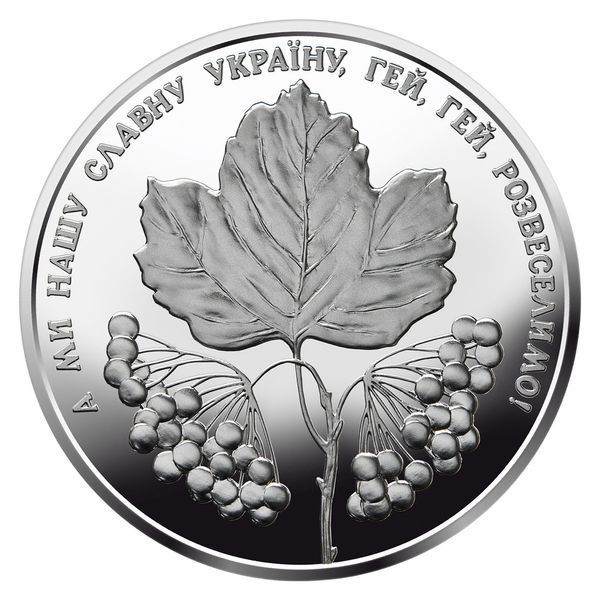 Серебряная монета НБУ "Ой у лузи червона калина" 10 гривен, 2022 S-KALYNA фото