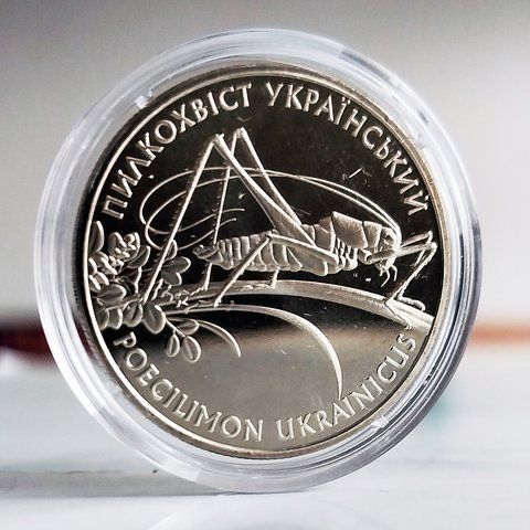 Пам'ятна монета НБУ "Пилкохвіст український", 2 гривні, 2006 N-PYLKO-2006 фото