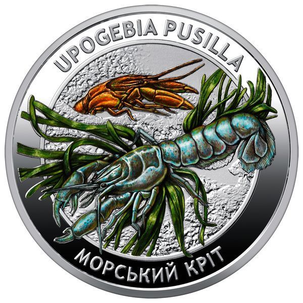 Набір із двох пам`ятних монет `Мешканці морських глибин` у сувенірному пакованні,&nbsp;2 монети по 5 гривень, 2026 NSP-MORE2-2026 фото